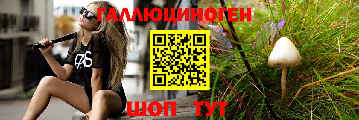 Псилоцибиновые грибы Cubensis Гудермес