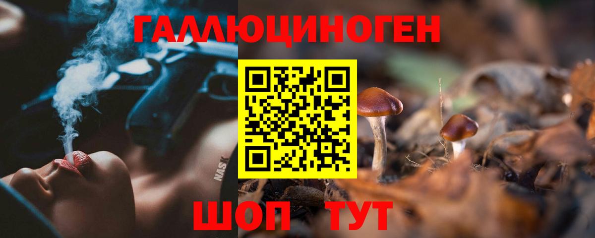 Псилоцибиновые грибы Magic Shrooms  Галлюциногенные грибы Cubensis  Вход с VPN  Гудермес 